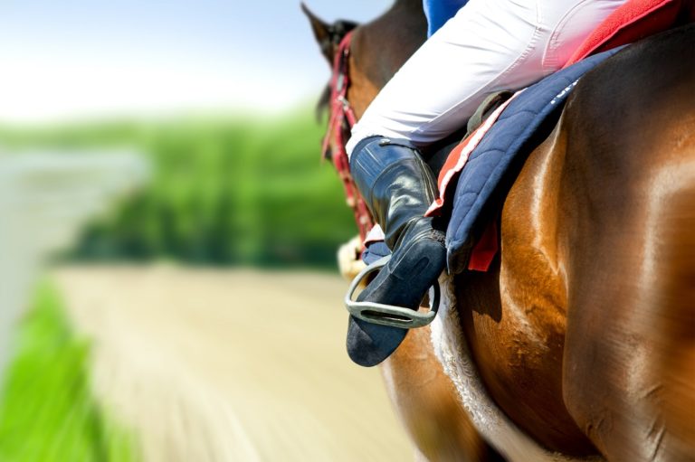 Equestrian riding a horse