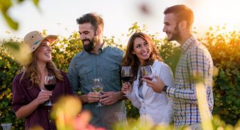 The Best Wines to Bring to Your Summer Picnic