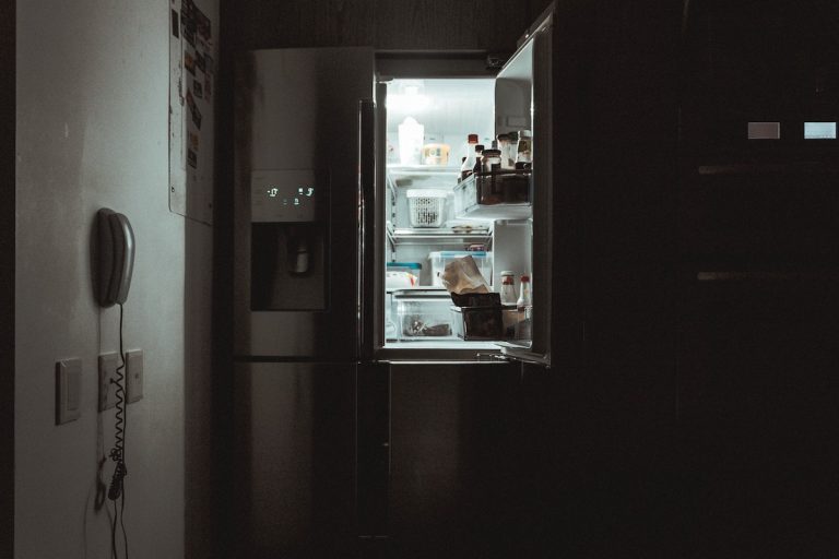 french door refrigerator