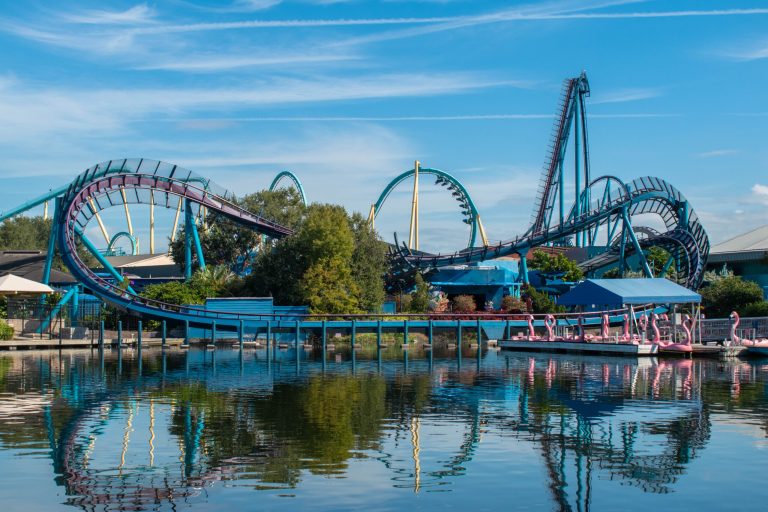 Magic and Adventure Exploring the Size of Disney World Cottonable